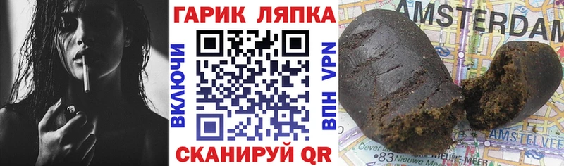 Гашиш индика сатива  дарнет шоп  Саки 