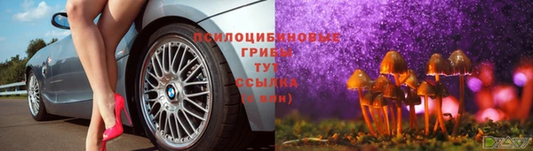 круглые Арсеньев
