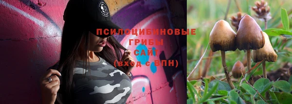 круглые Арсеньев