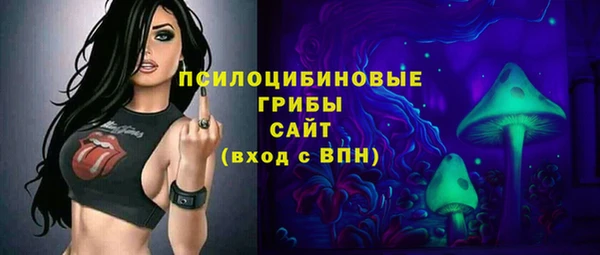 винт Аркадак