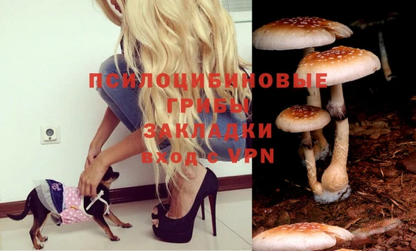 винт Аркадак