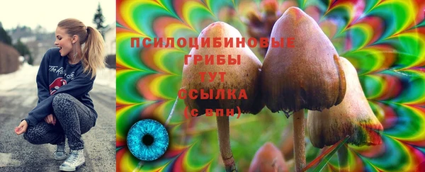 круглые Арсеньев