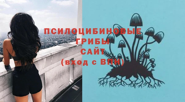 винт Аркадак