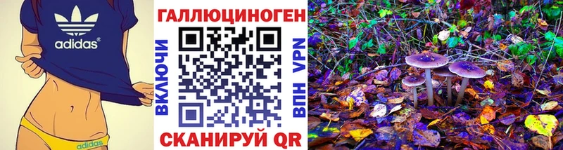 Галлюциногенные грибы Cubensis  Саки 