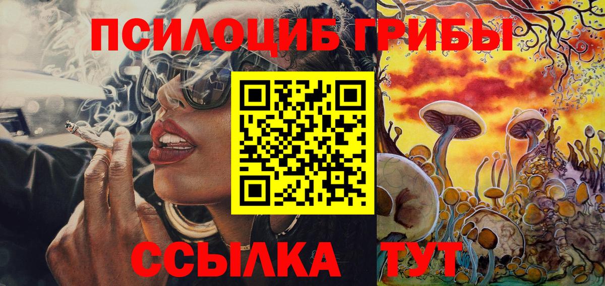 Псилоцибиновые грибы Cubensis  Псилоцибиновые грибы Psilocybe  Вход с VPN  Саки 